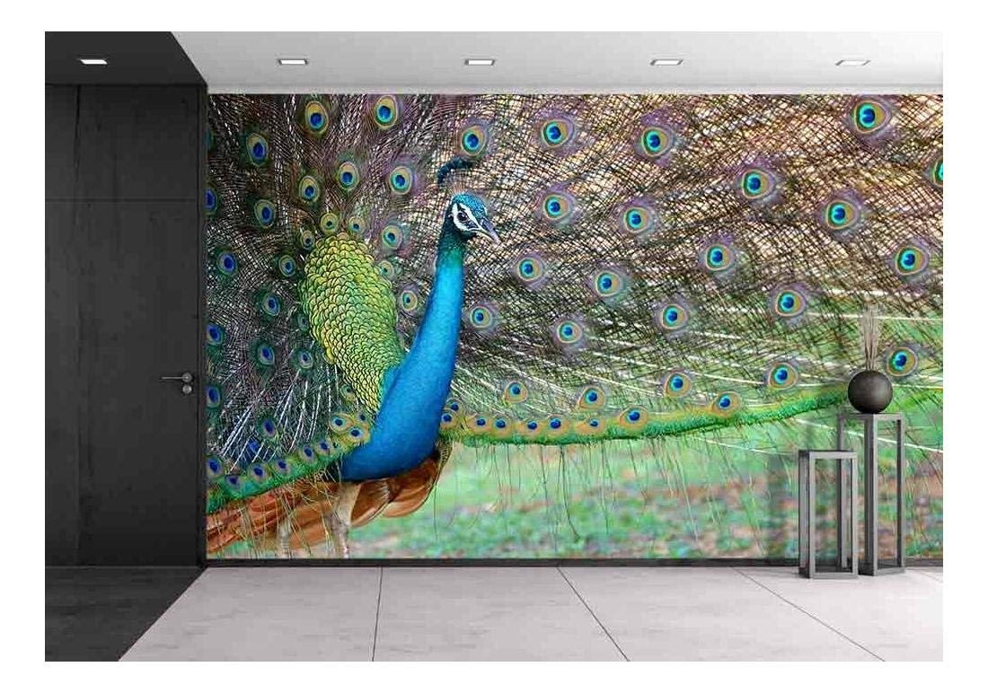 Peacock Feather Wall Decoration - HD Wallpaper 
