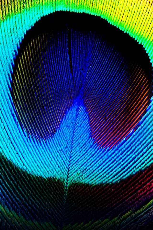 Iphone Peacock Feather Wallpaper Hd - 640x960 Wallpaper Iphone Peacock Feather Wallpaper Hd - 640x960 Wallpaper