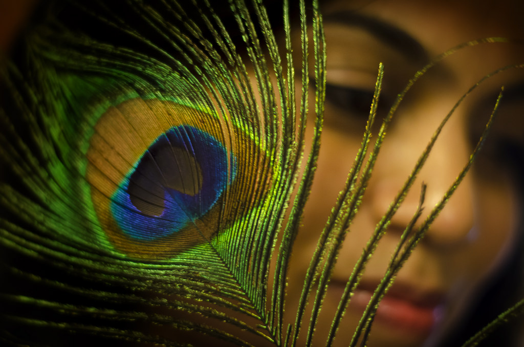 Peacock, Lord Krishna, And Janmashtami Image - Photography With Peacock  Feather - 1024x678 Wallpaper 