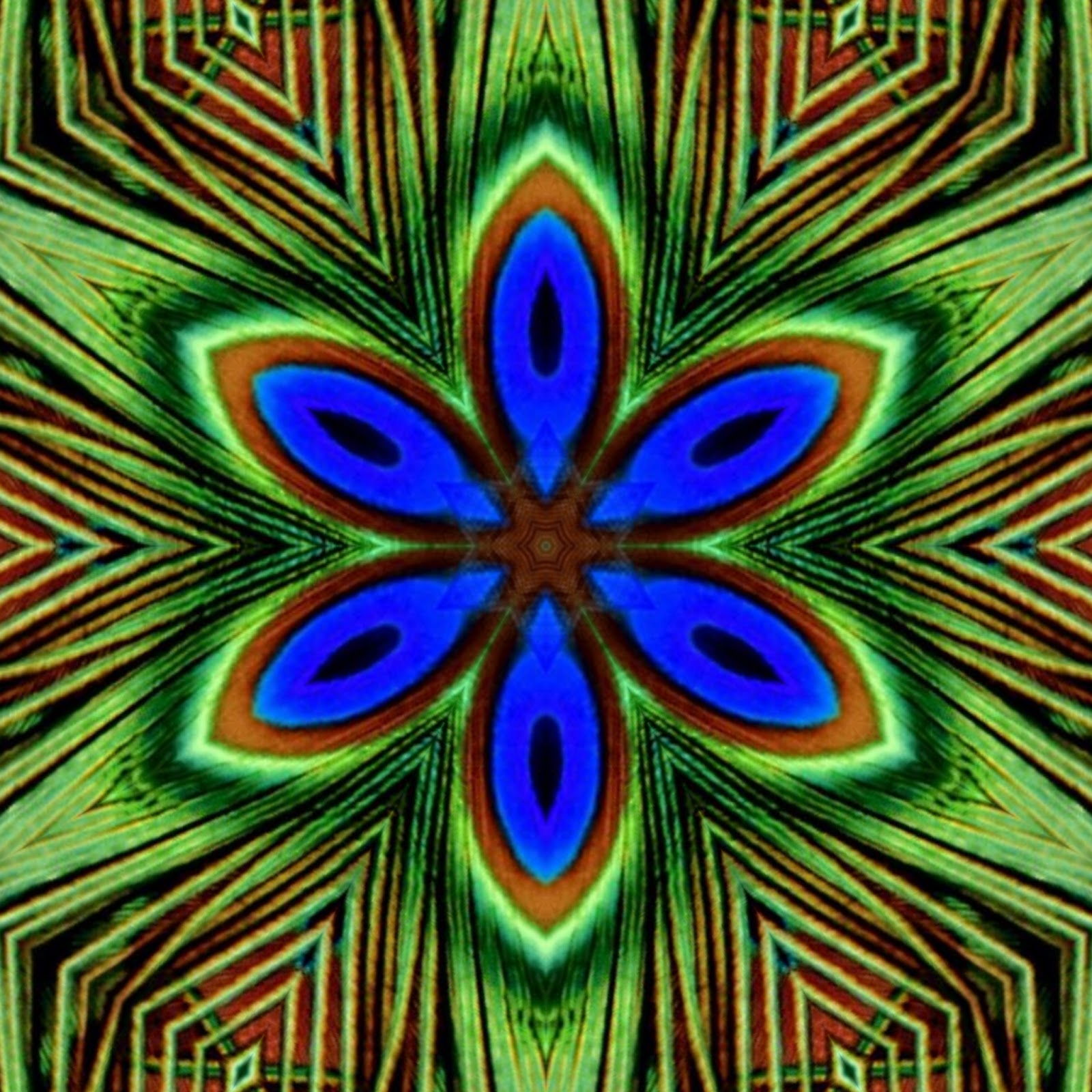 Hd Peacock Feather Background - Visual Arts - HD Wallpaper 