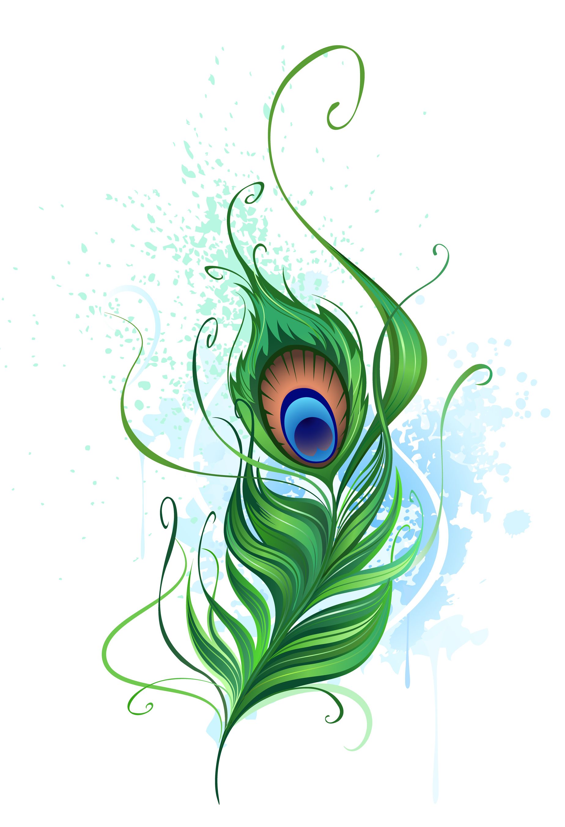 Peafowl Images Use These Free Images For Your Websites, - Plume De Paon Dessin - HD Wallpaper 