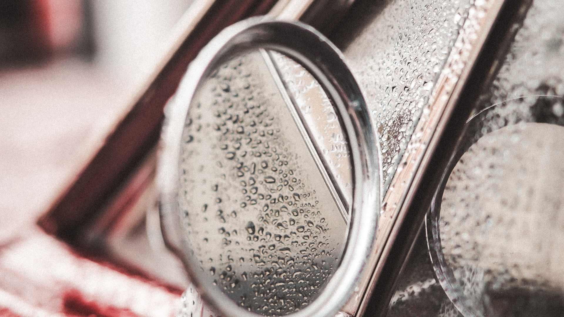 Close-up - HD Wallpaper 