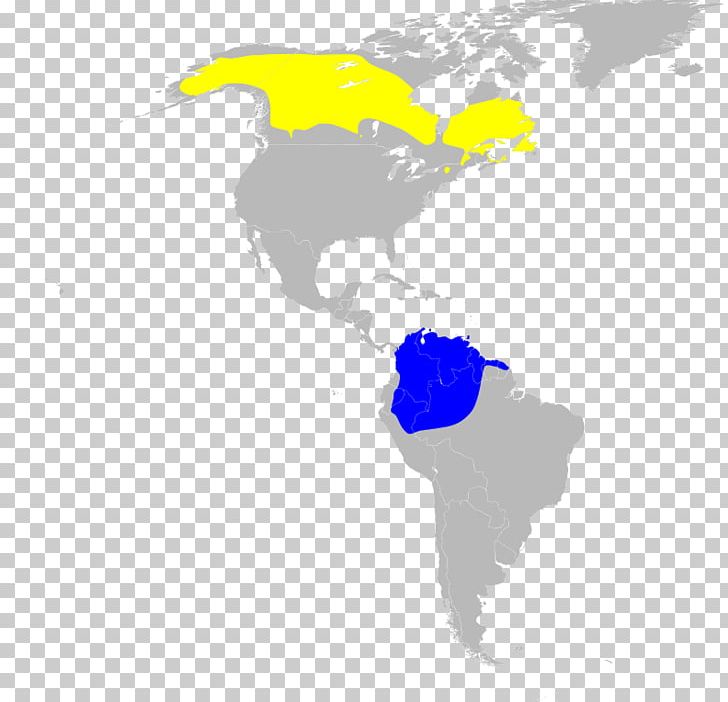 New World Warblers United States Map Scale Png, Clipart, - North And South America Png - HD Wallpaper 