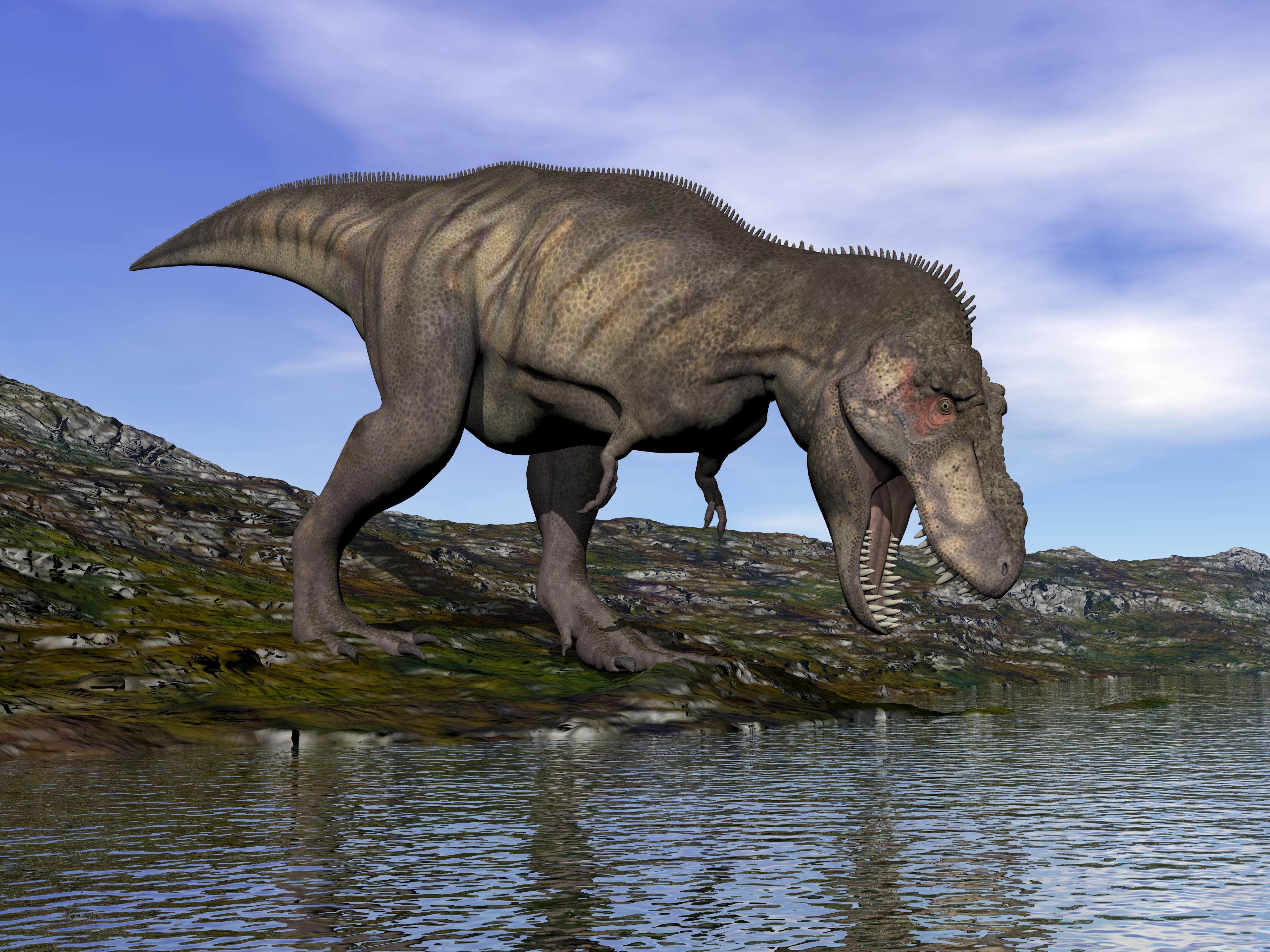 Water Animals Dinosaur - 4000x3000 Wallpaper Water Animals Dinosaur - 4000x3000 Wallpaper