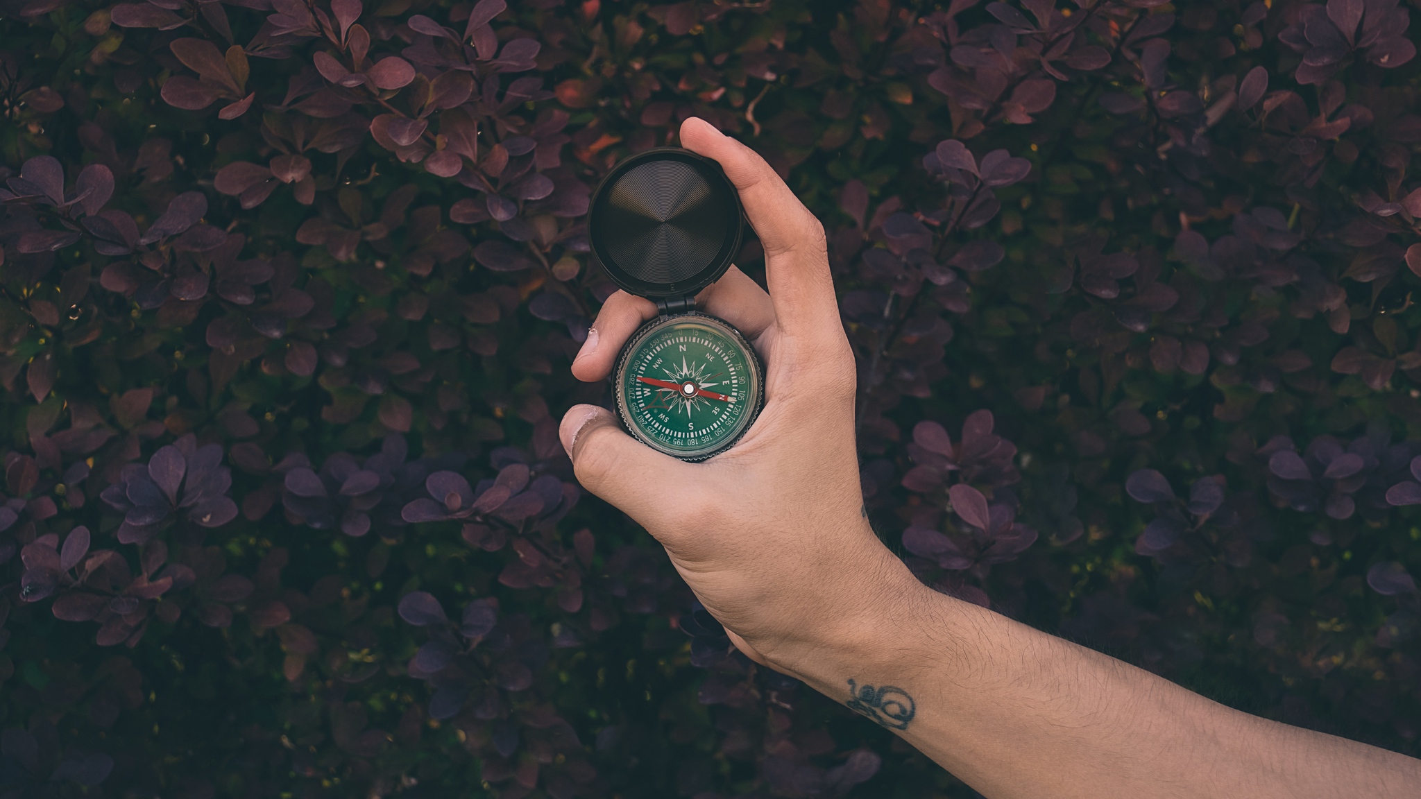 Wallpaper Compass, Hand, Map - Wallpaper - HD Wallpaper 