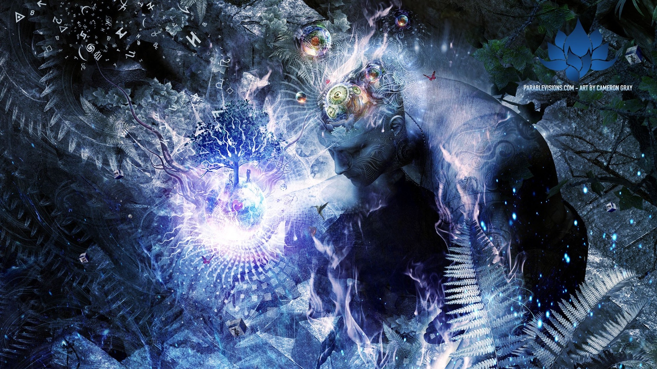 Cameron Gray - HD Wallpaper 