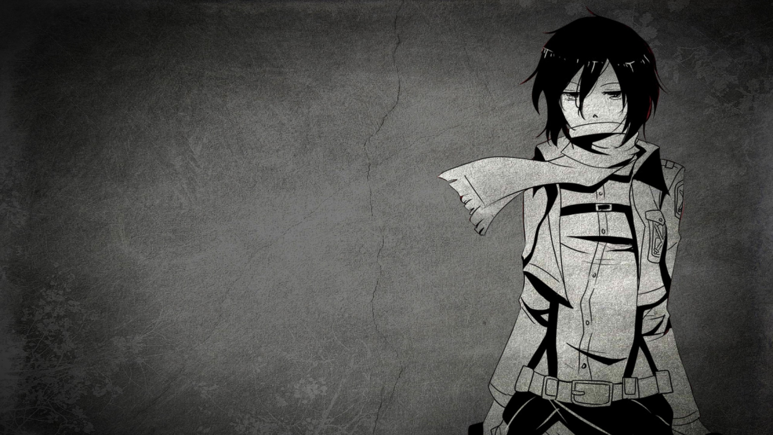 Shingeki No Kyojin Mikasa 4k - HD Wallpaper 