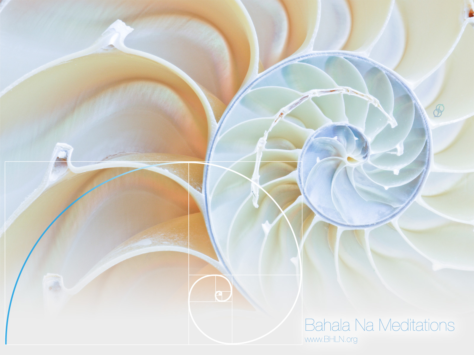 Psychotherapist & Therapist Gitte Sander - HD Wallpaper 