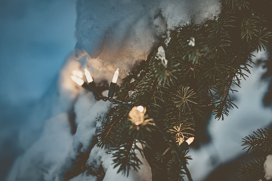 Montana, United States, Lights, Christmas, Travel, - รูป หลอด ไฟ ค ริ สมาส สวย ๆ - HD Wallpaper 