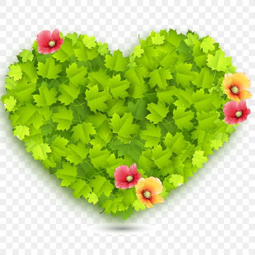 Green Heart Love Wallpaper, Png, 945x945px, Green, - Big Green Heart - HD Wallpaper 