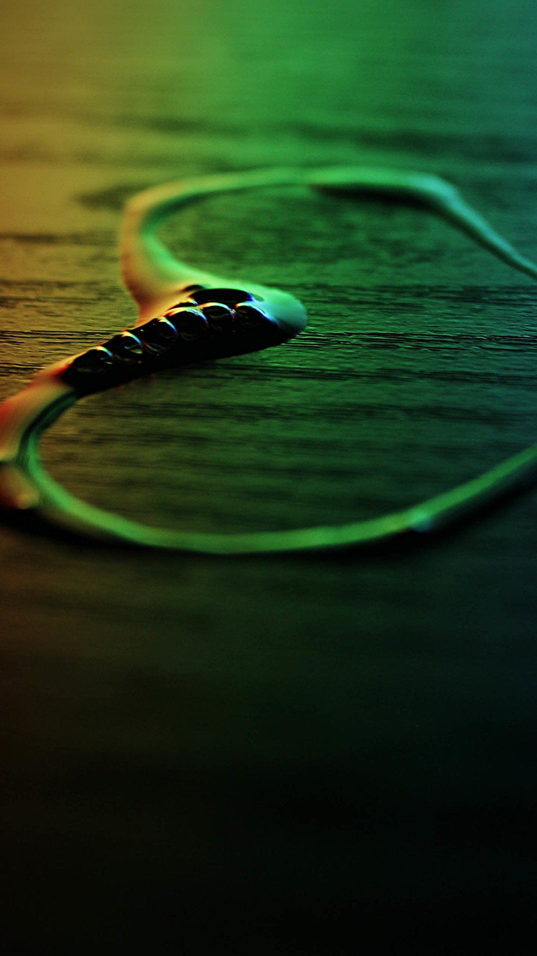 Sea Snake - HD Wallpaper 