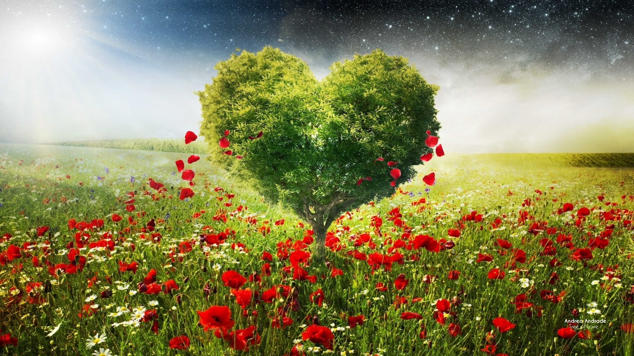 Green Love Heart Tree Poppies Wallpaper - Green Love Heart Tree - HD Wallpaper 