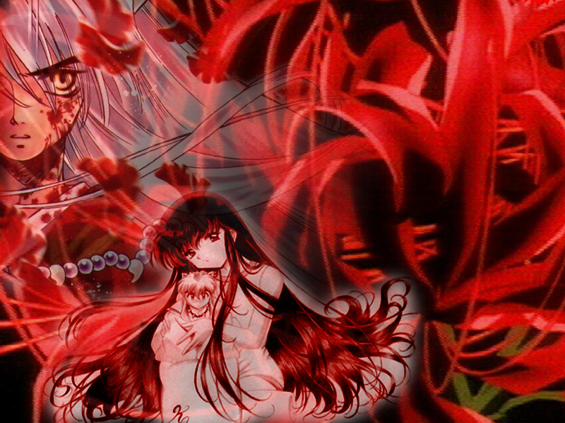 Inuyasha And Kagome Wallpaper - HD Wallpaper 