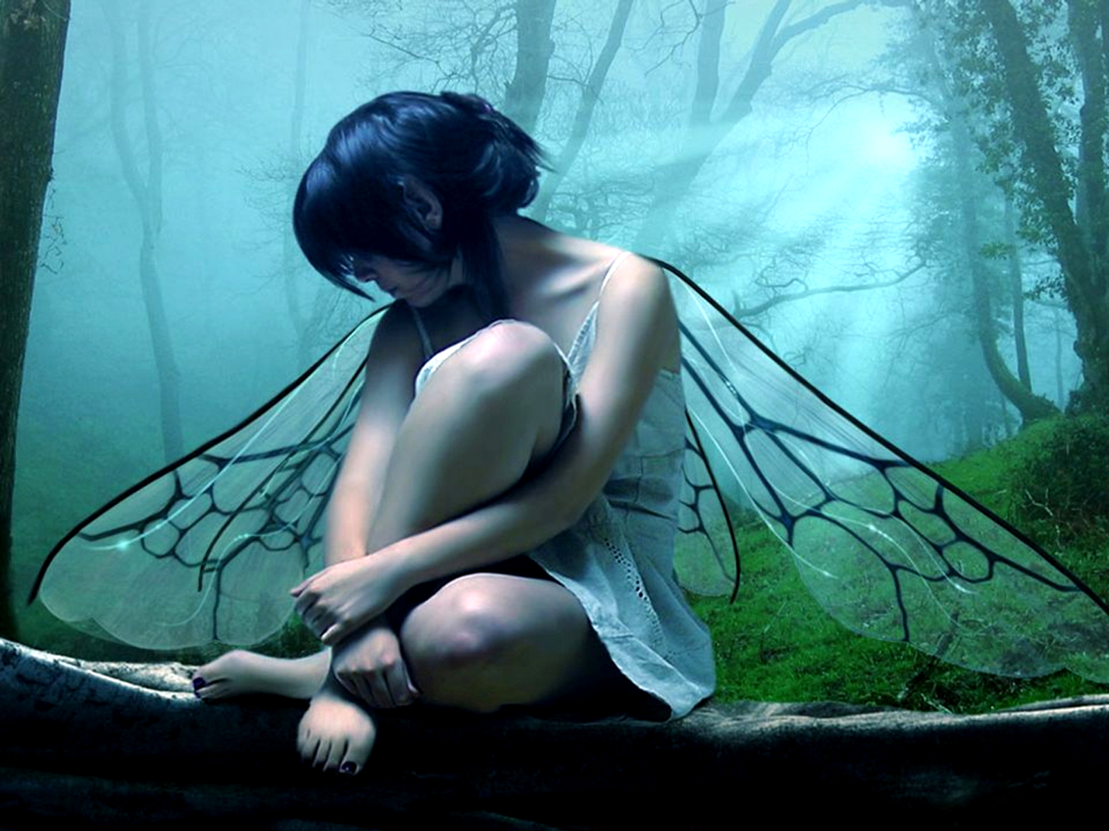 407 Fairy Hd Wallpapers - Fairy With Wings Down - HD Wallpaper 