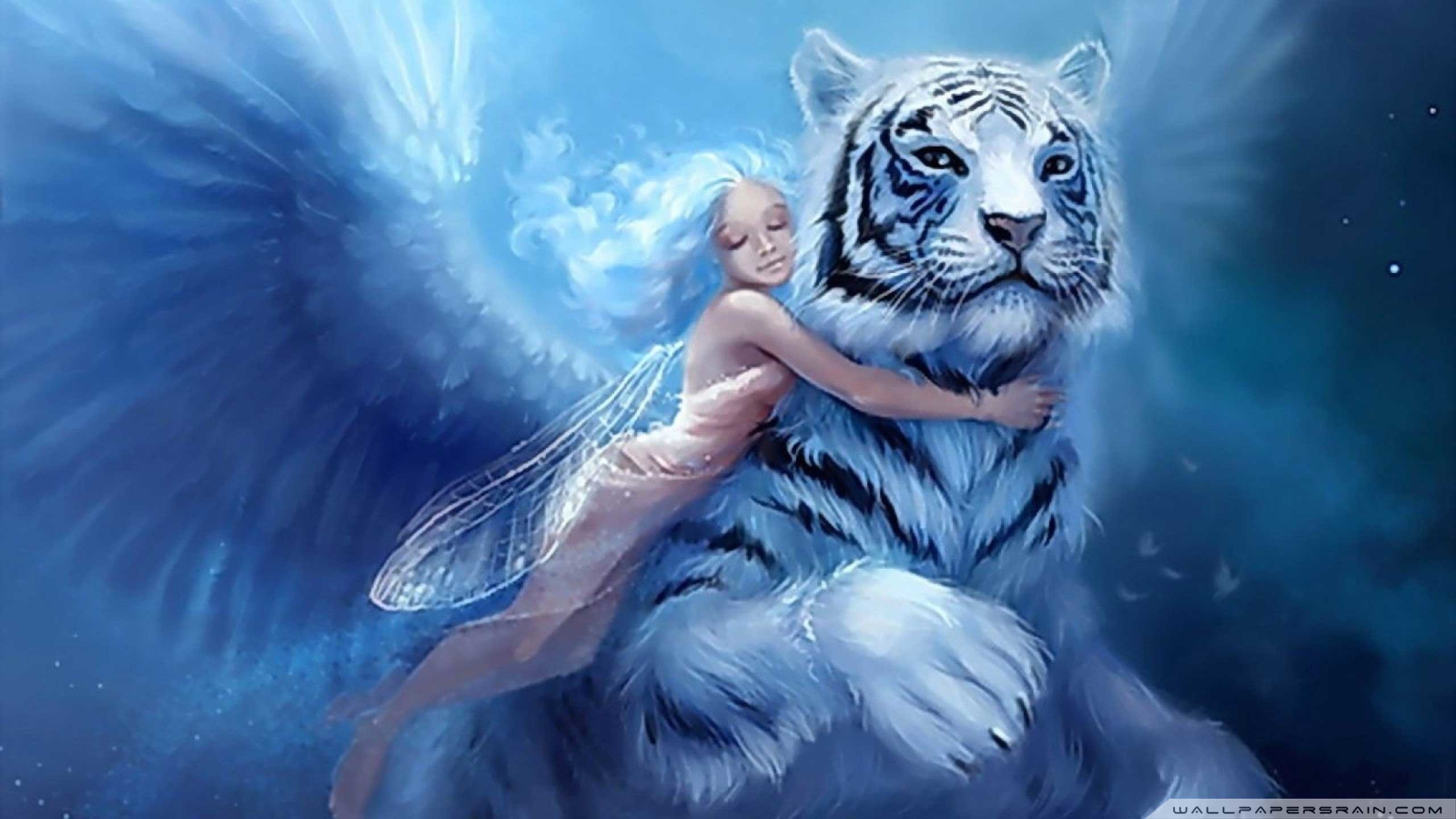 #4l5bz52 Fairy Wallpapers And Screensavers - Hd Fairy - HD Wallpaper 