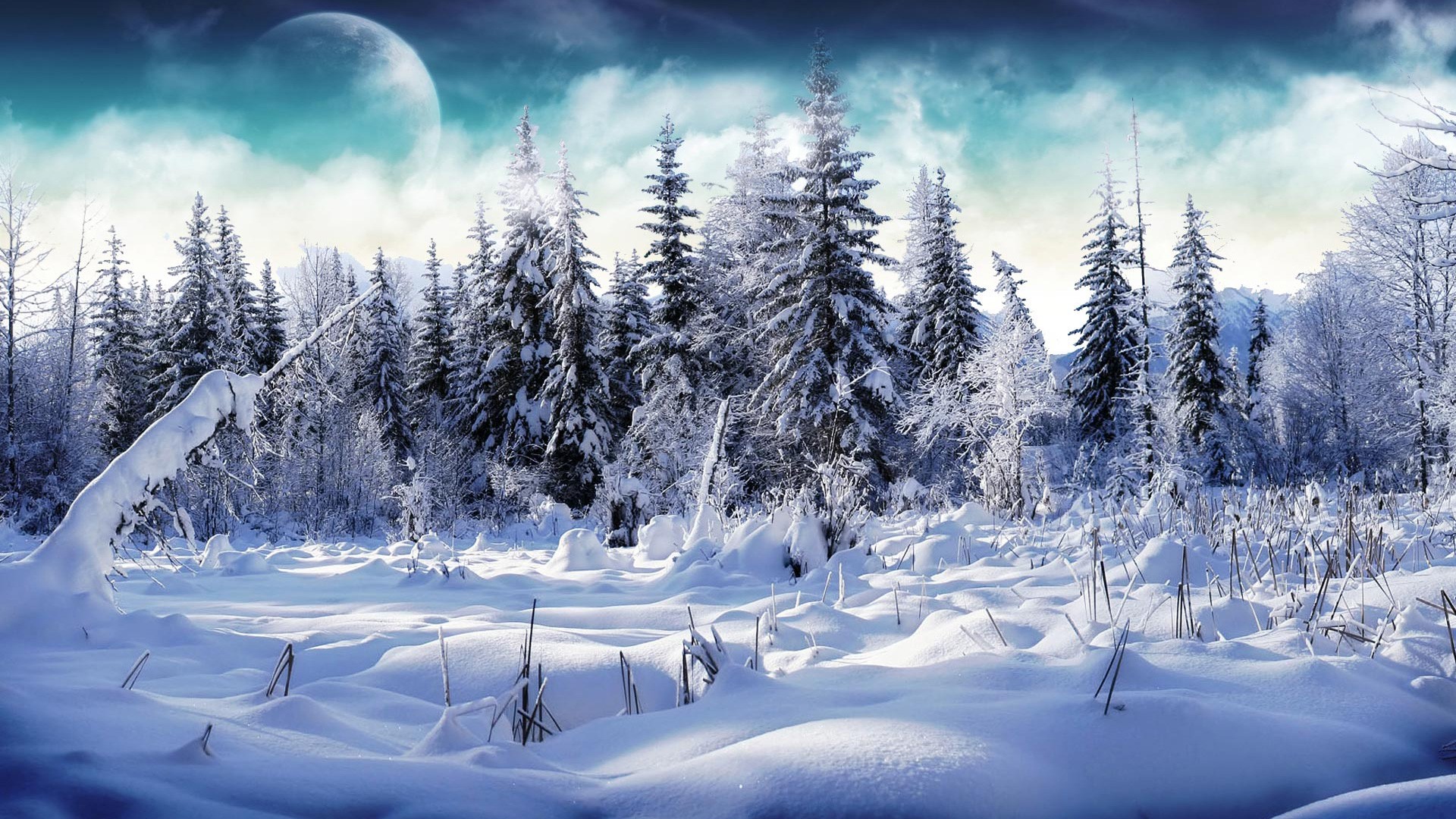 Winter Wallpaper Hd - HD Wallpaper 