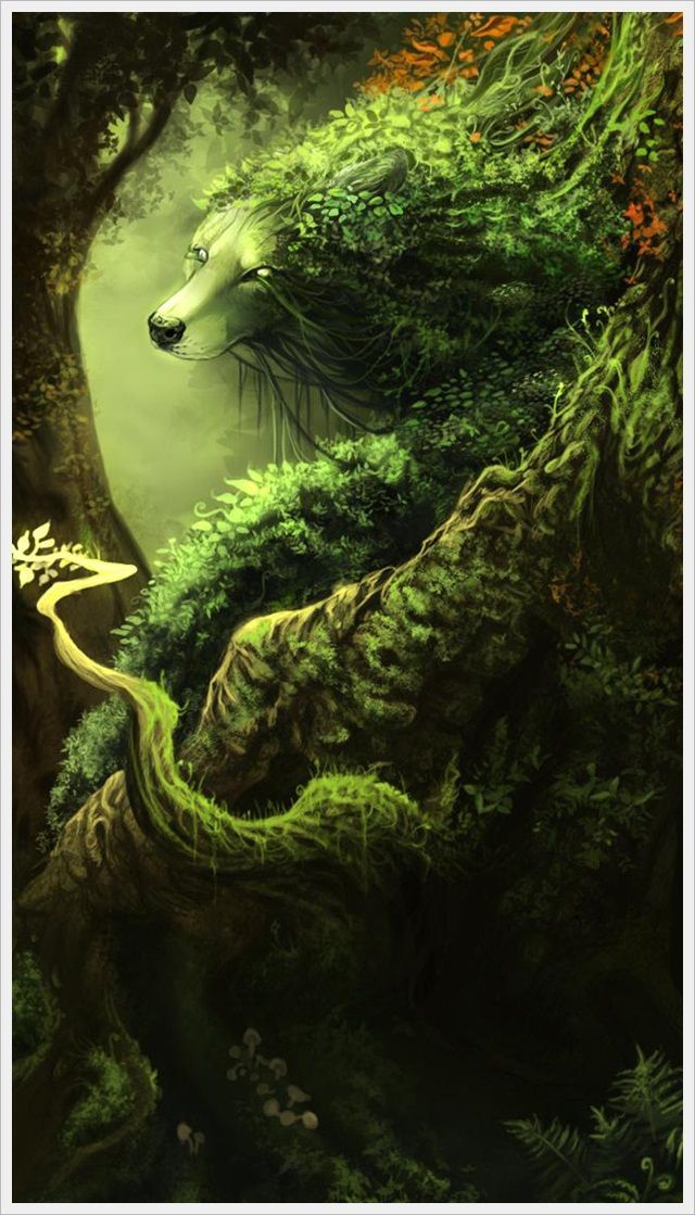 Tree Wolf - HD Wallpaper 