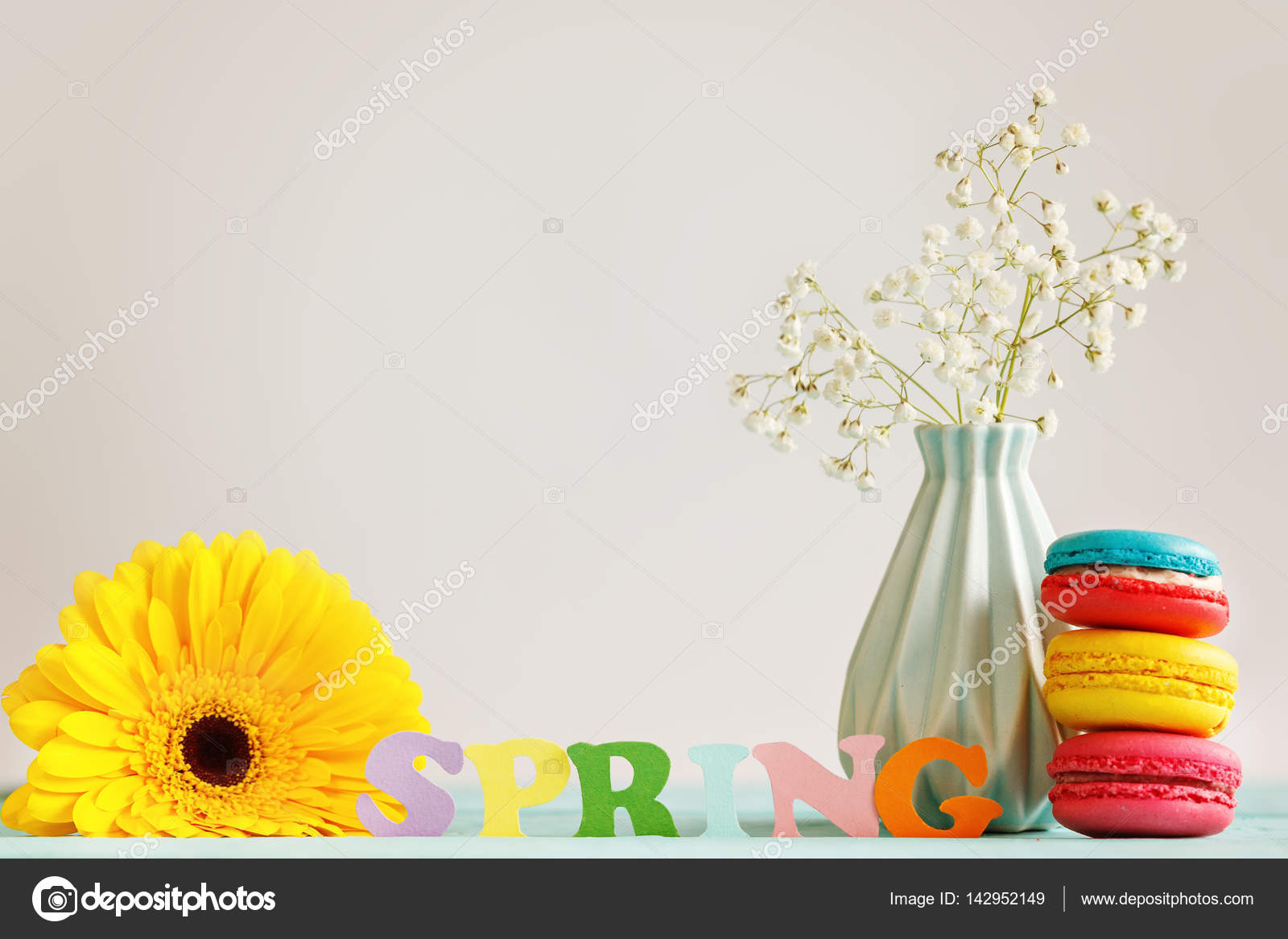 Barberton Daisy - HD Wallpaper 