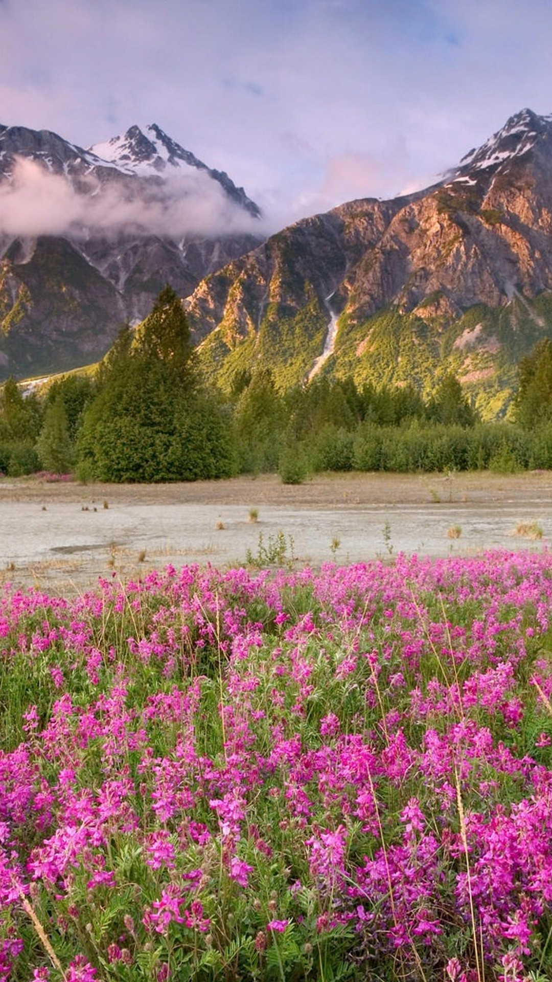 Android Wallpaper Hd Hello Spring With Hd Resolution - Flower Fields With Mountains - HD Wallpaper 