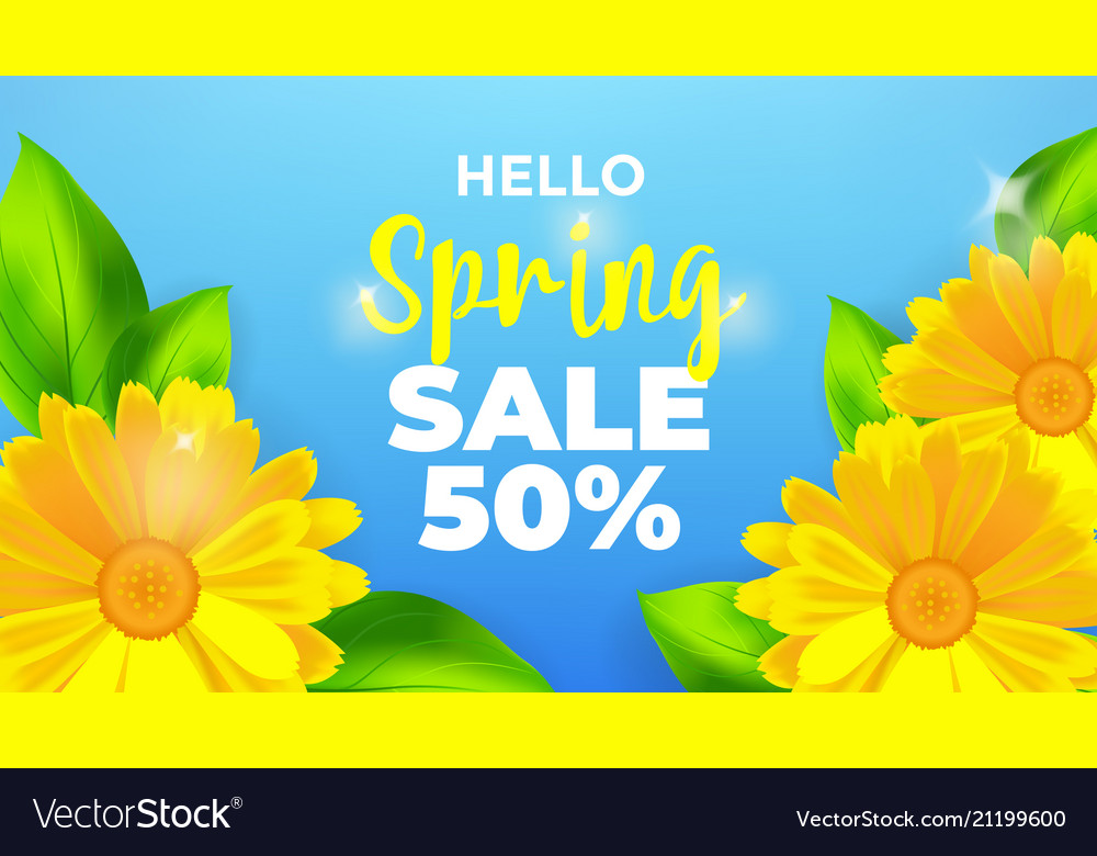 English Marigold - HD Wallpaper 