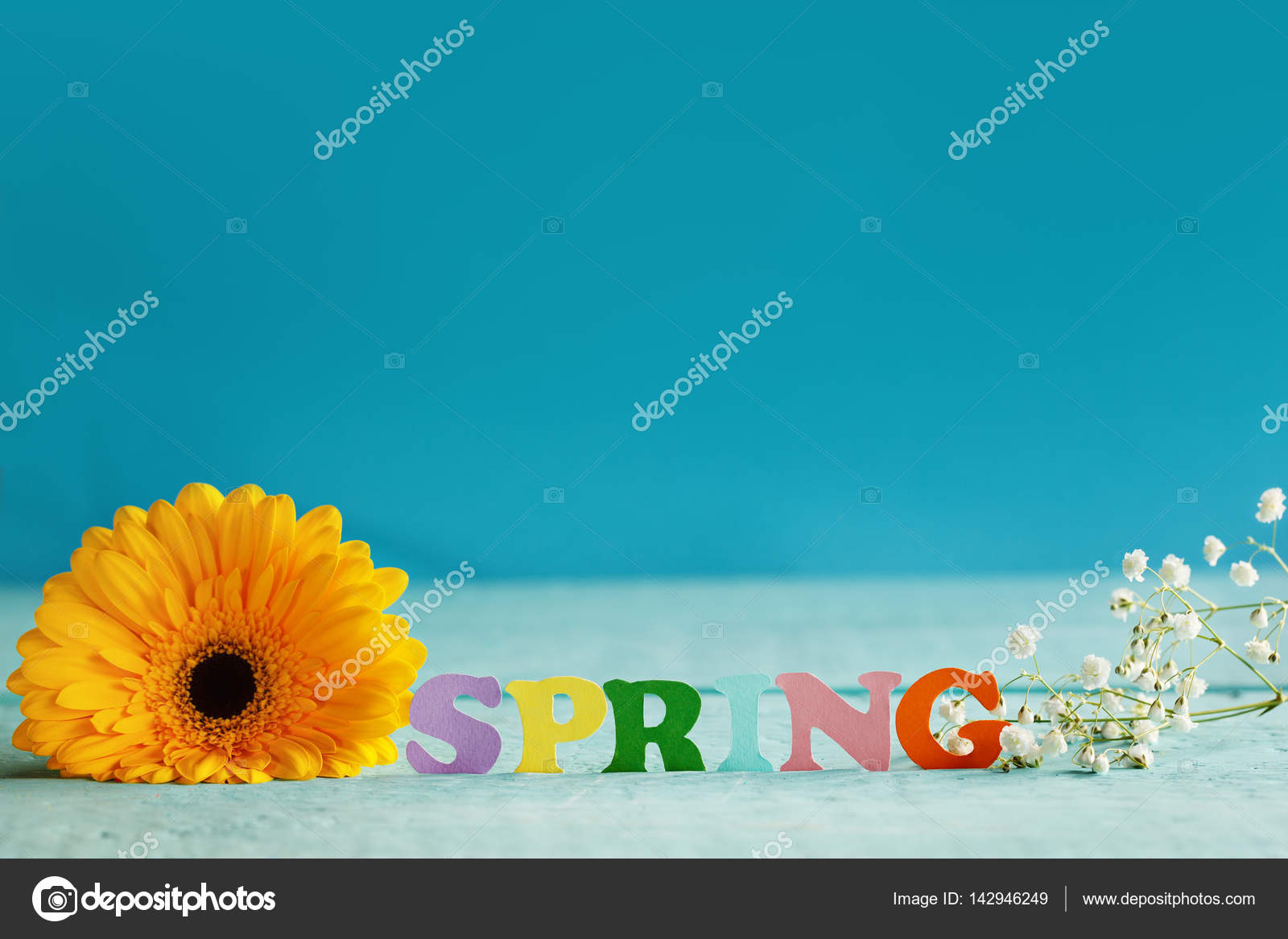 English Marigold - HD Wallpaper 