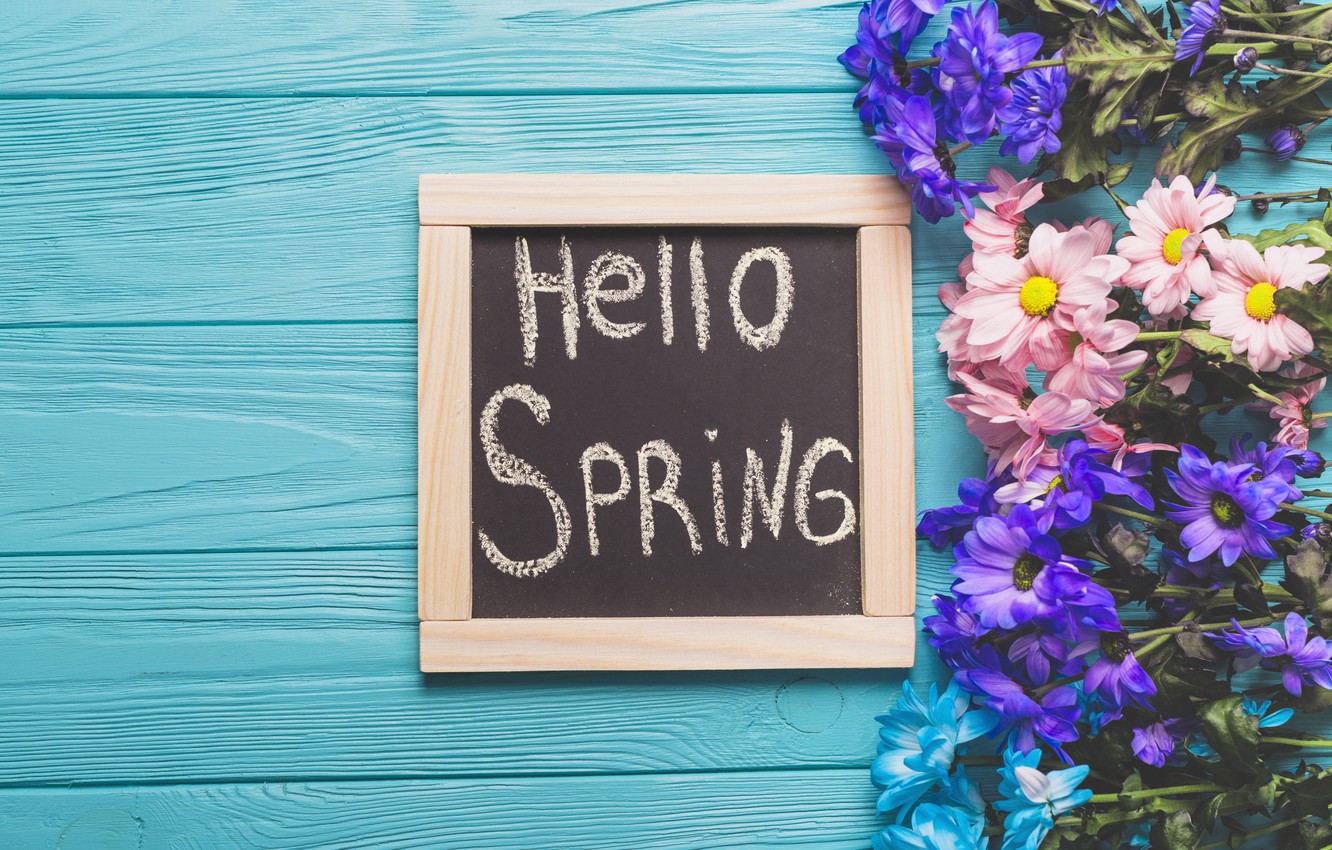 Photo Wallpaper Flowers, Spring, Colorful, Board, Chrysanthemum, - Обои На Рабочий Стол Spring - HD Wallpaper 
