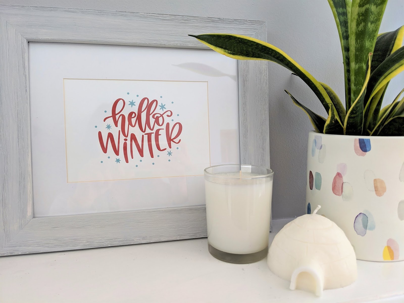 Houseplant - HD Wallpaper 