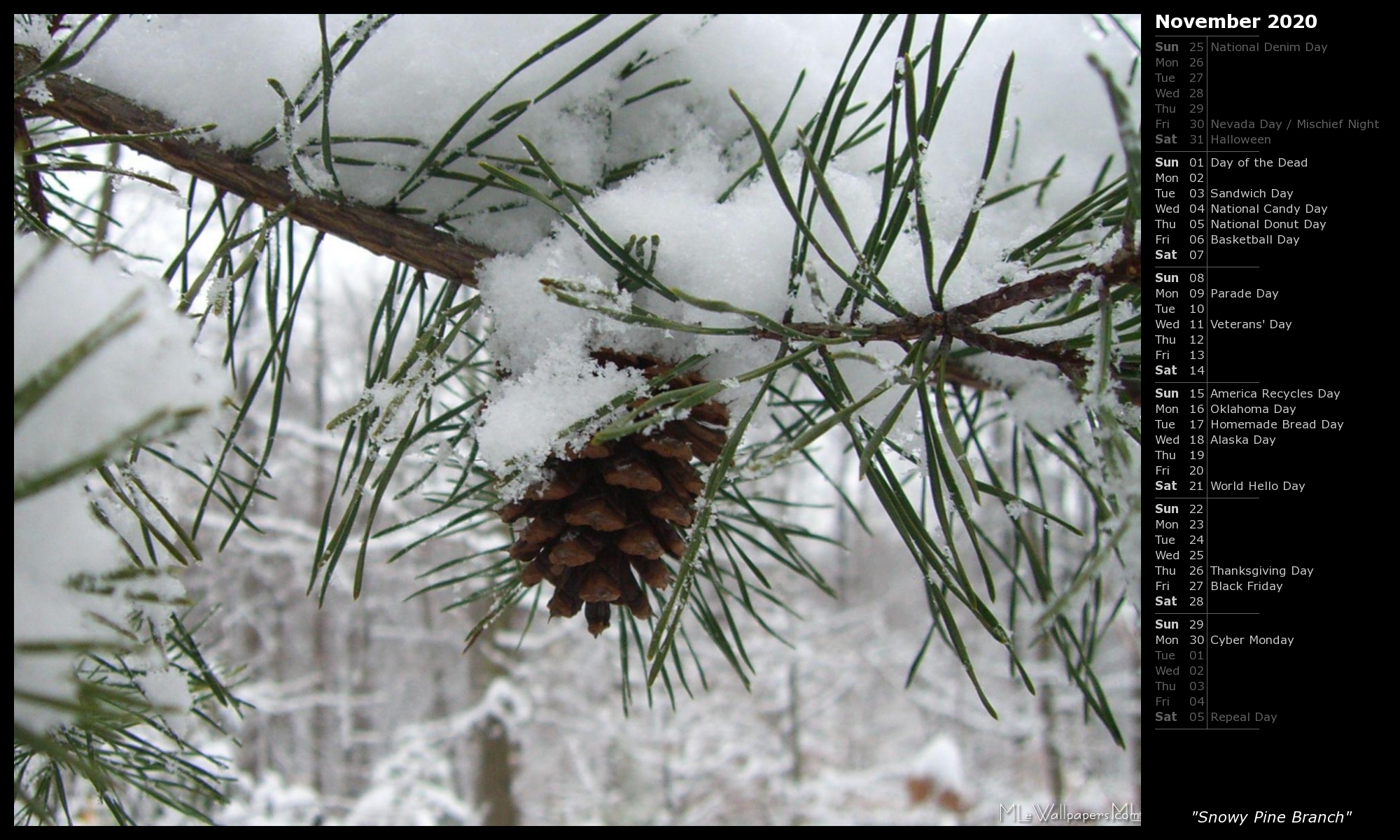 Snowy Pine Branch - February Calendar 2020 - HD Wallpaper 