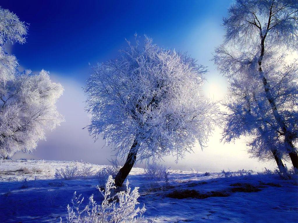 Free Winter Backgrounds - HD Wallpaper 