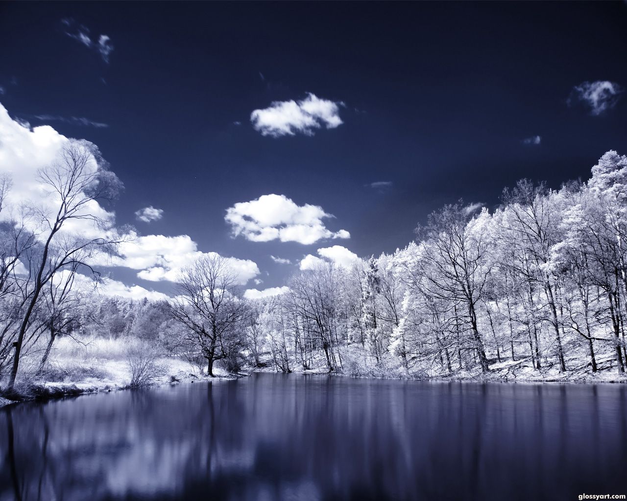Winter Hd Backgrounds - White Trees And Lake - HD Wallpaper 