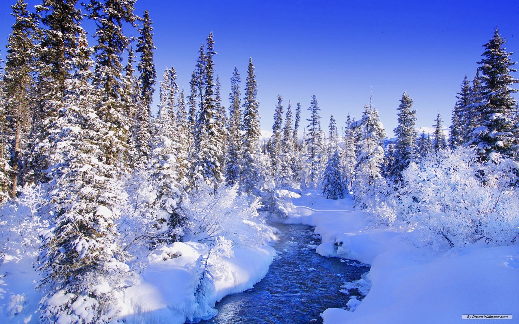 Beautiful Nature Winter Wallpaper Desktop Wallpaperil
natures - Winter Wonderland - HD Wallpaper 