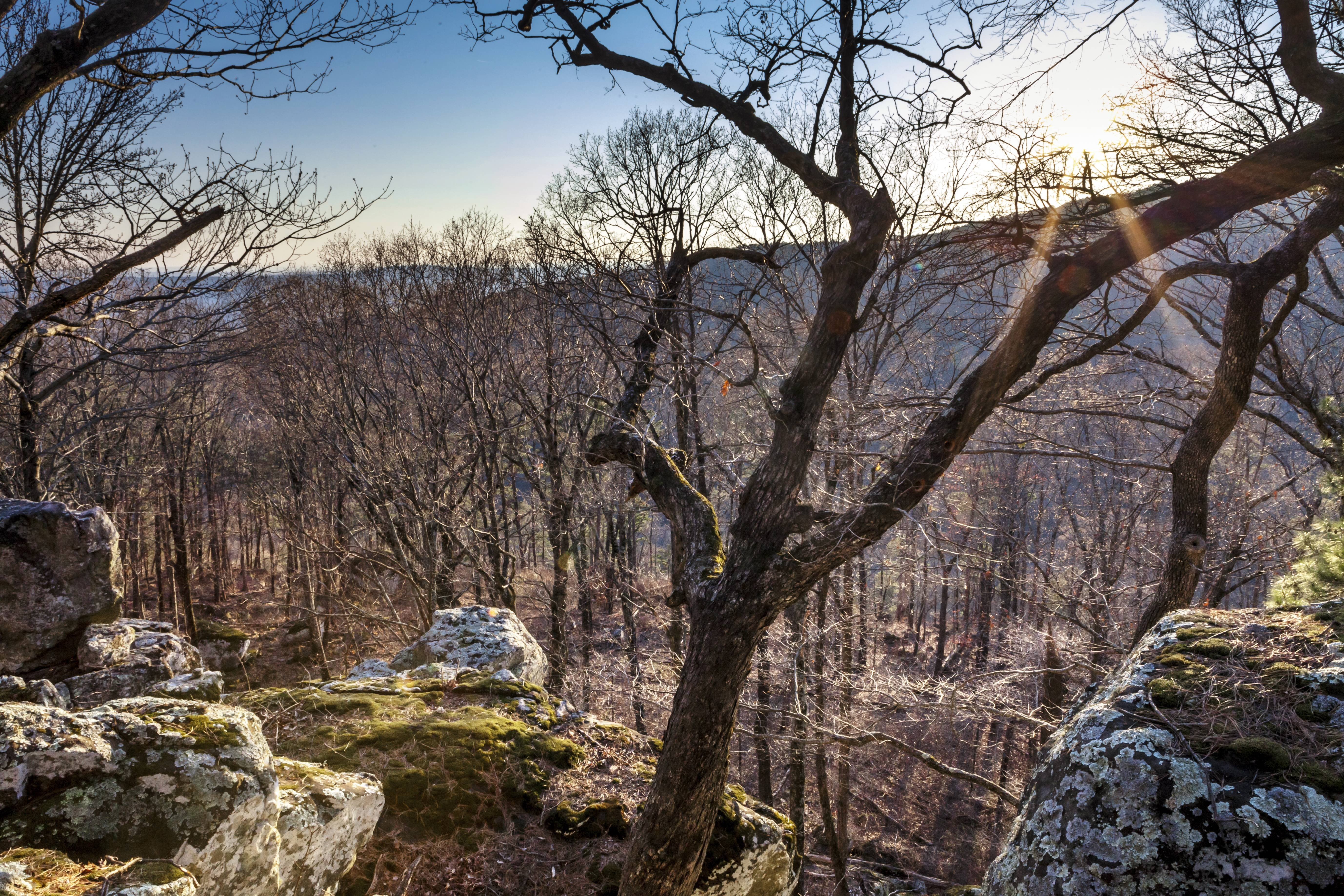 Late Winter Sun From Bigfoot Hollow Arkansas Wallpaper - Bigfoot Hollow Arkansas - HD Wallpaper 