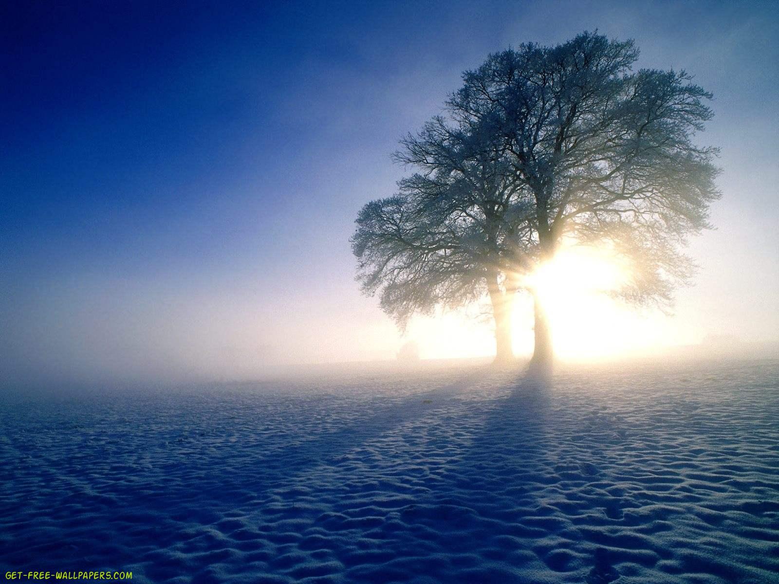 Winter Sun Wallpaper - Happy Winter Solstice 2018 - HD Wallpaper 