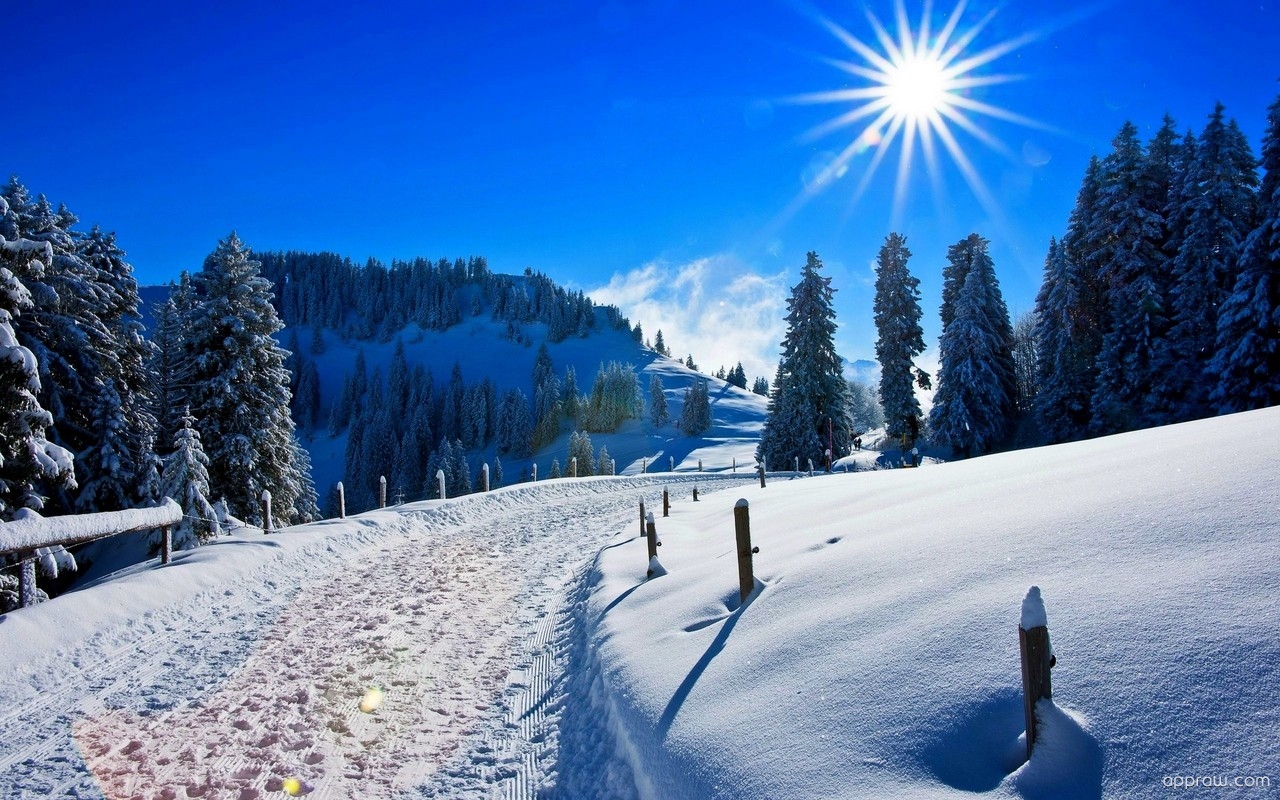 Winter Wonderland Screensaver Hd - HD Wallpaper 