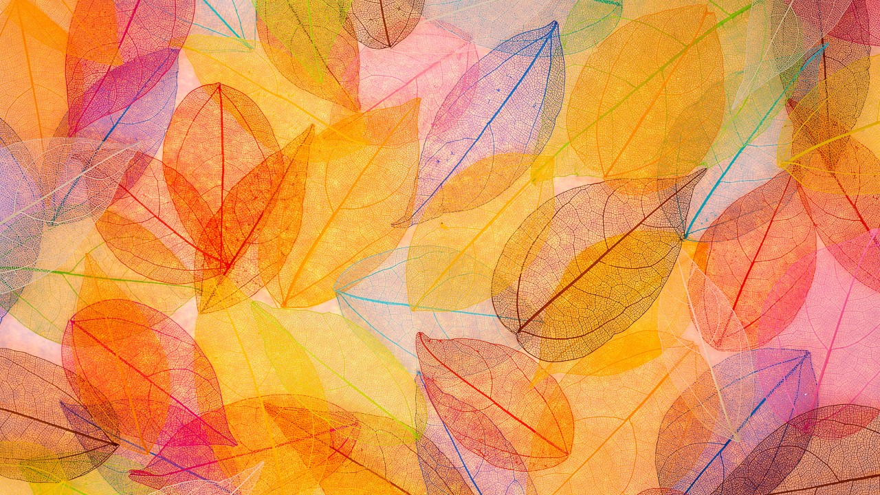 Watercolor Fall Desktop Backgrounds - HD Wallpaper 