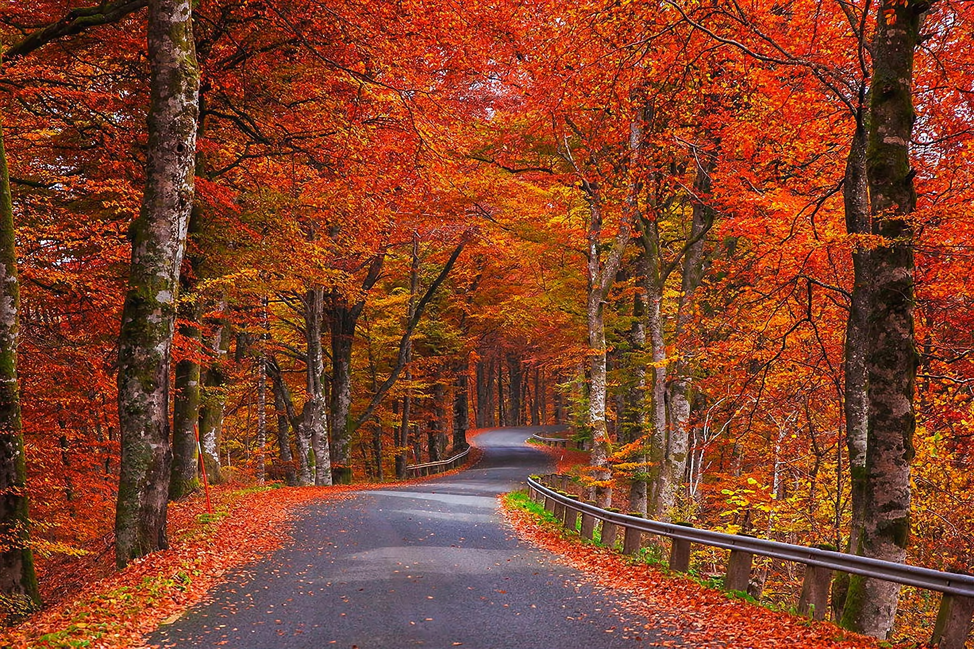 Wallpaper Autum - HD Wallpaper 