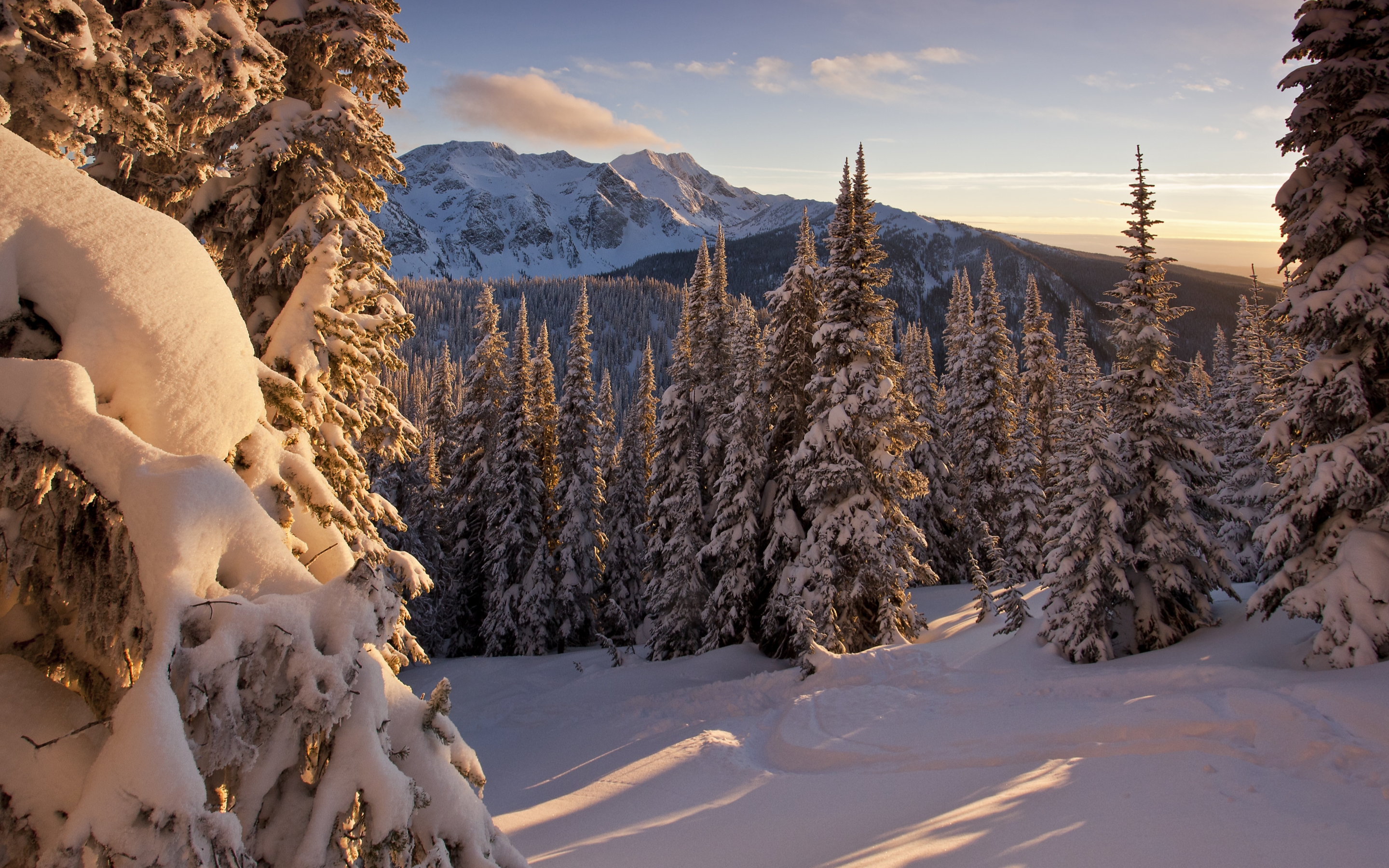 Hd Wallpaper Full Screen Winter - HD Wallpaper 