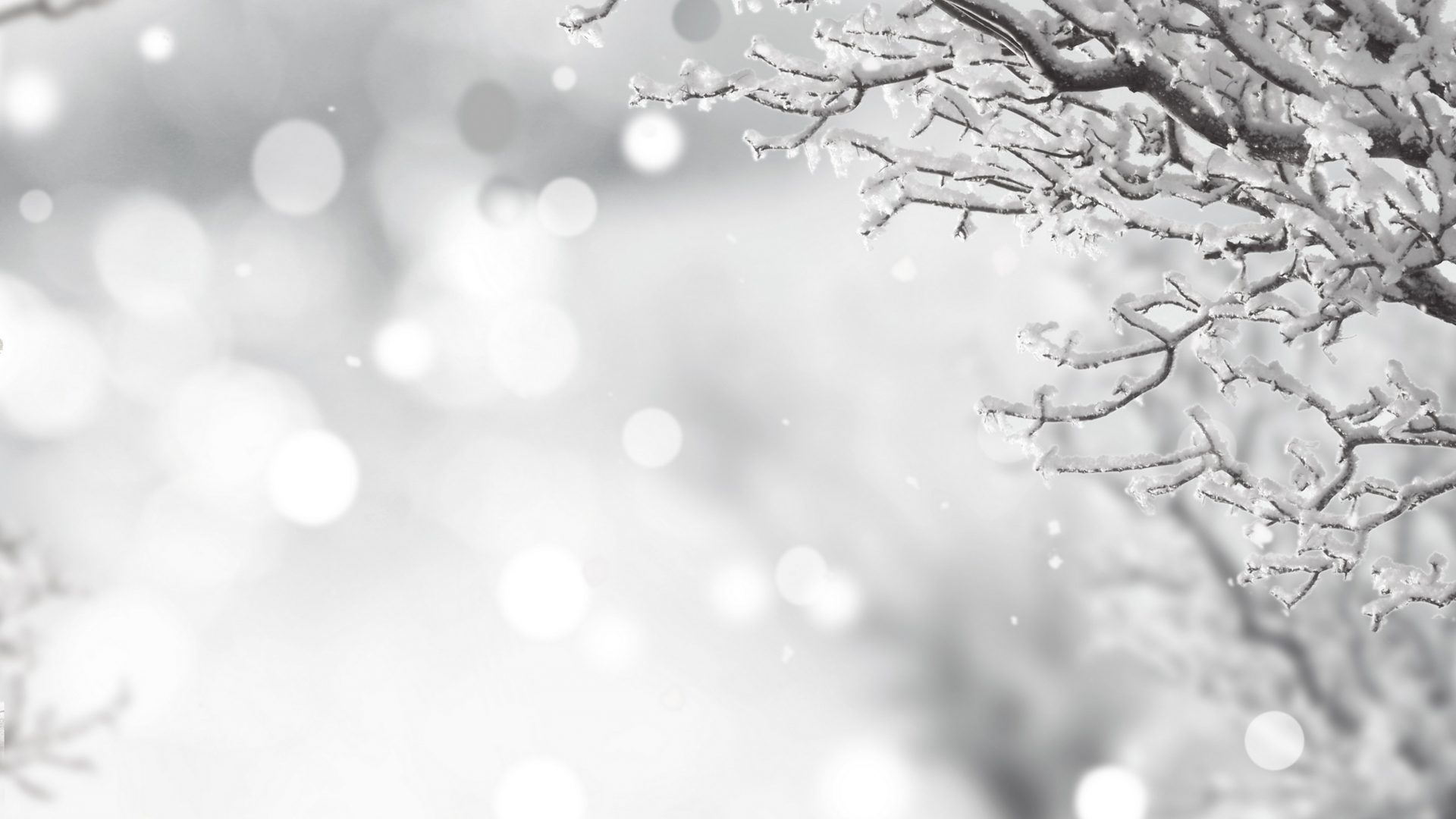 Free Desktop Wallpaper Winter Holiday - Black And White Winter - HD Wallpaper 