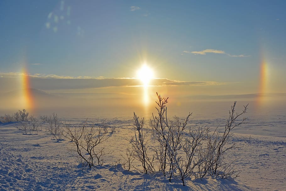 Winter, Sun, The Bright Sun, Snow, Landscape, Nature, - HD Wallpaper 