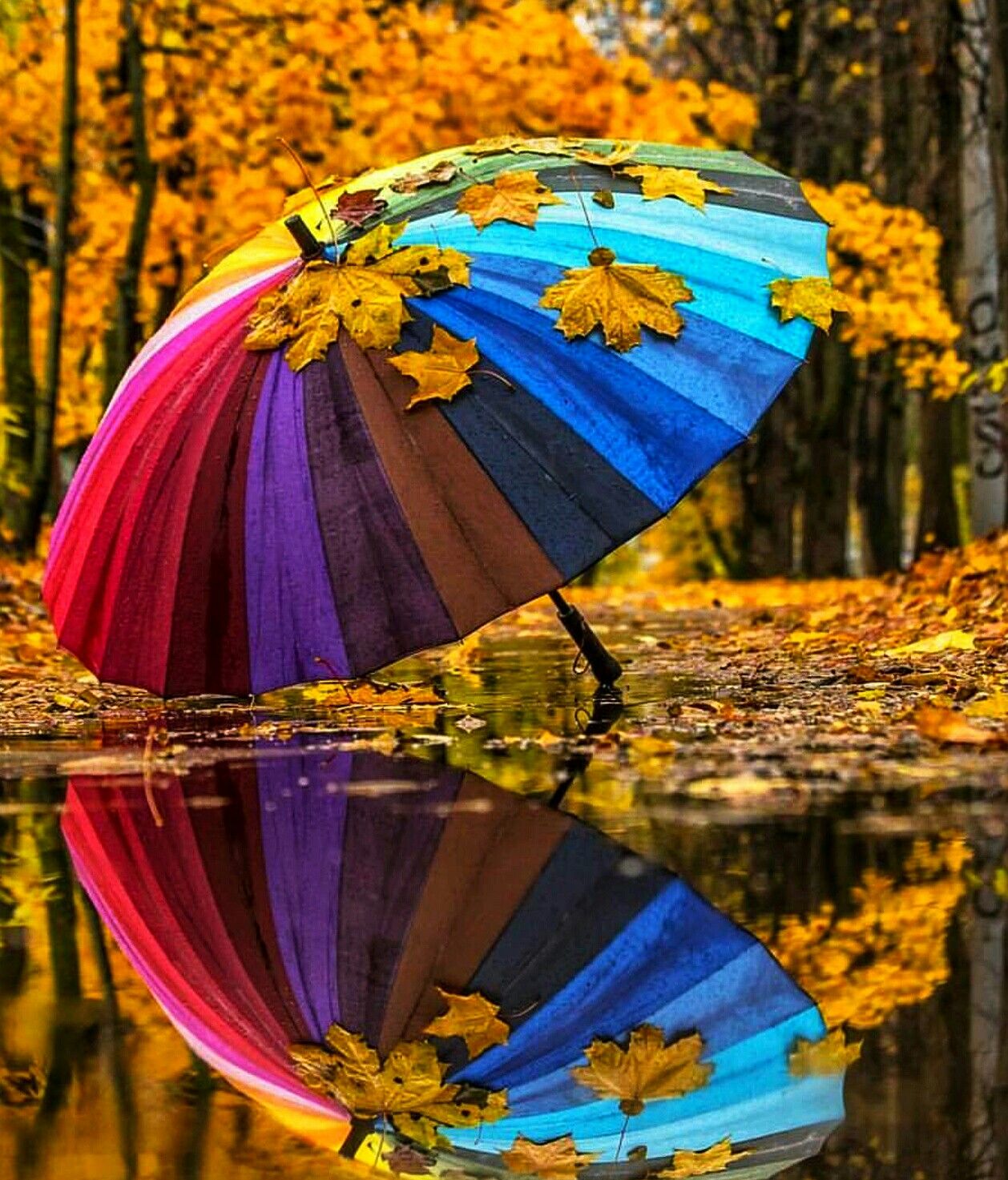 С Добрым Утром Картинки Зонтик - HD Wallpaper 