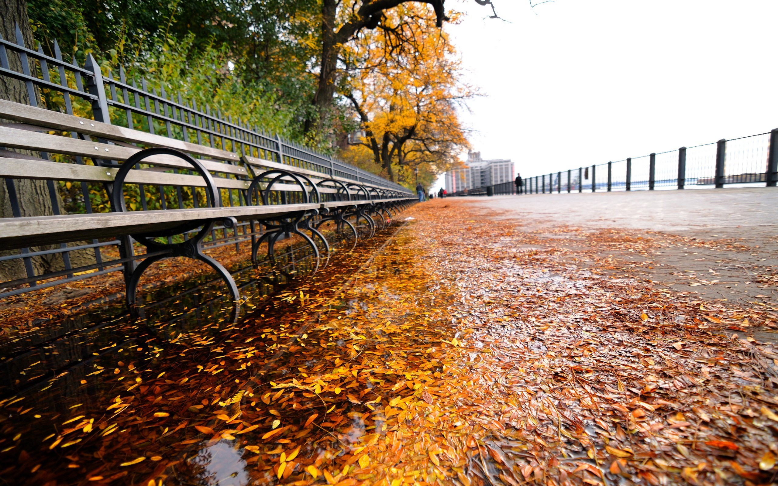 Fall Autumn In New York - HD Wallpaper 