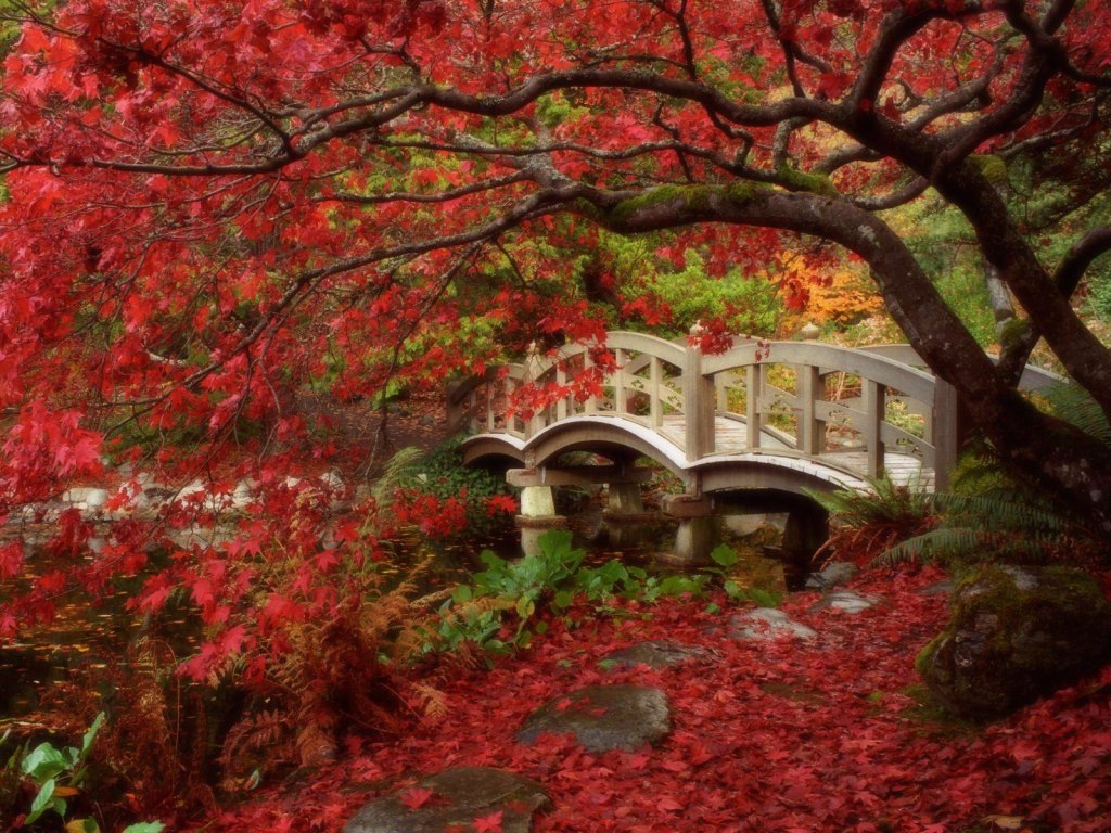Shinto Love Of Nature - HD Wallpaper 
