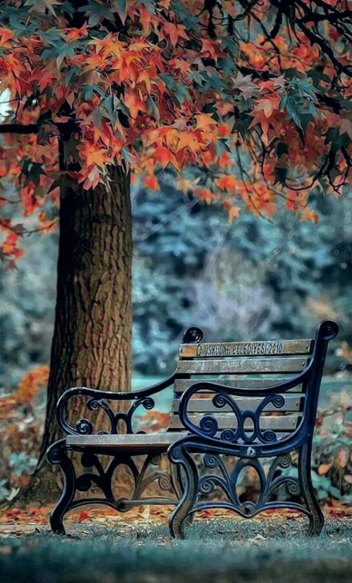 Good Morning October 1st - HD Wallpaper 