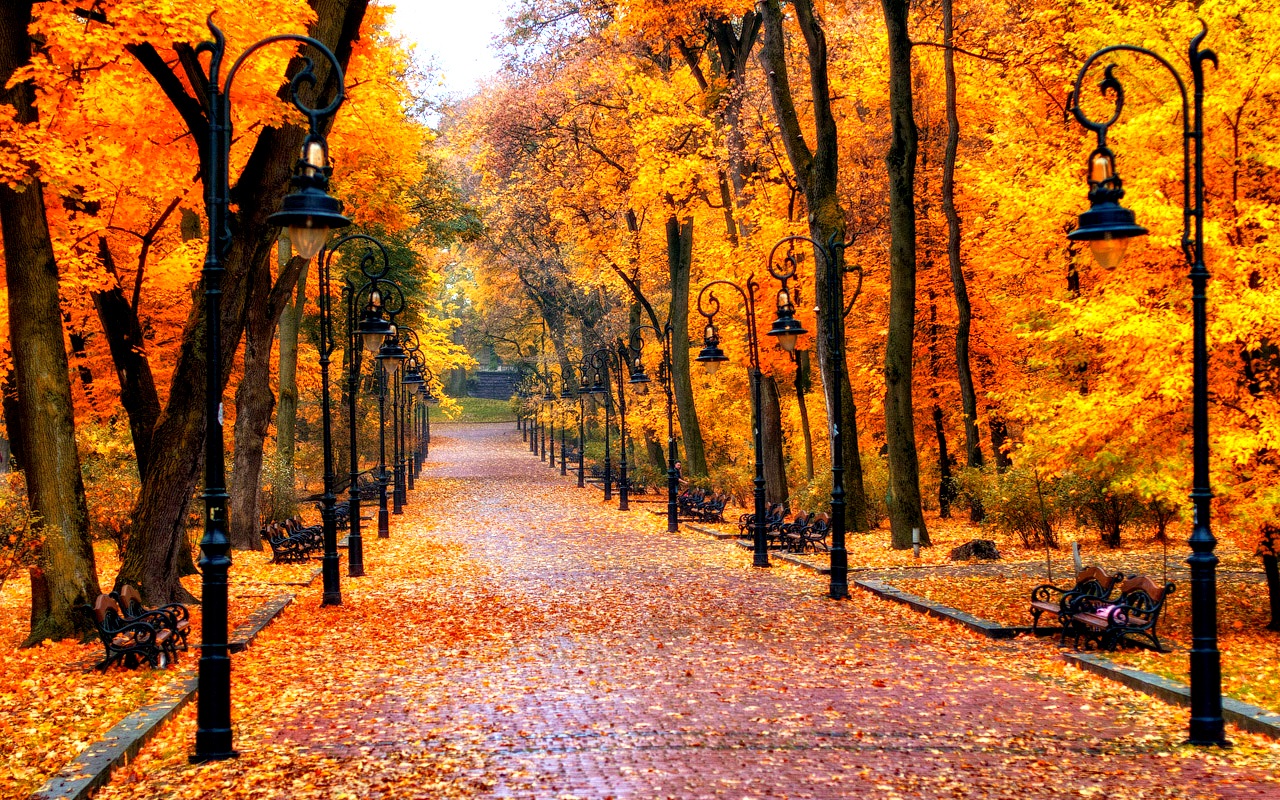 Autumn Wallpaper Full Hd - HD Wallpaper 