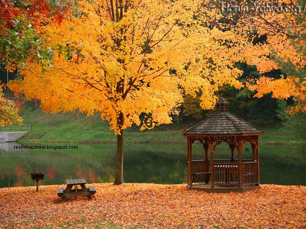 Mevsimi Yaz Resmi - HD Wallpaper 