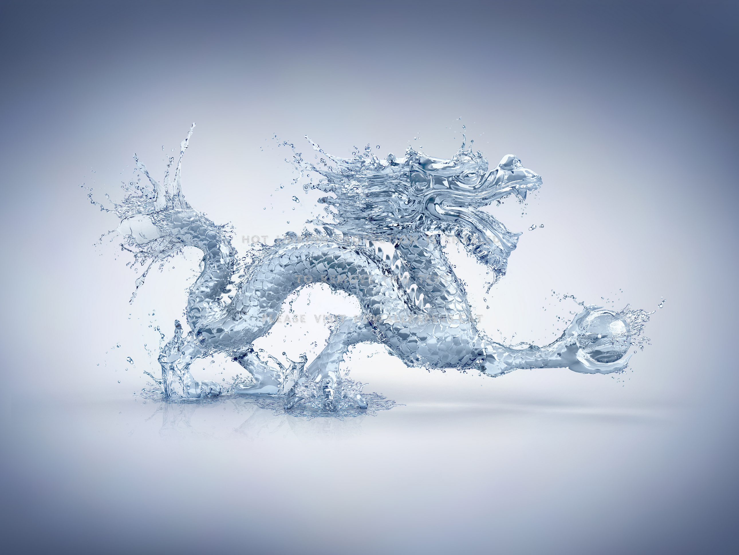 Water Dragon Feng Shui Element Clear - Chinese Elemental Water Dragon - HD Wallpaper 
