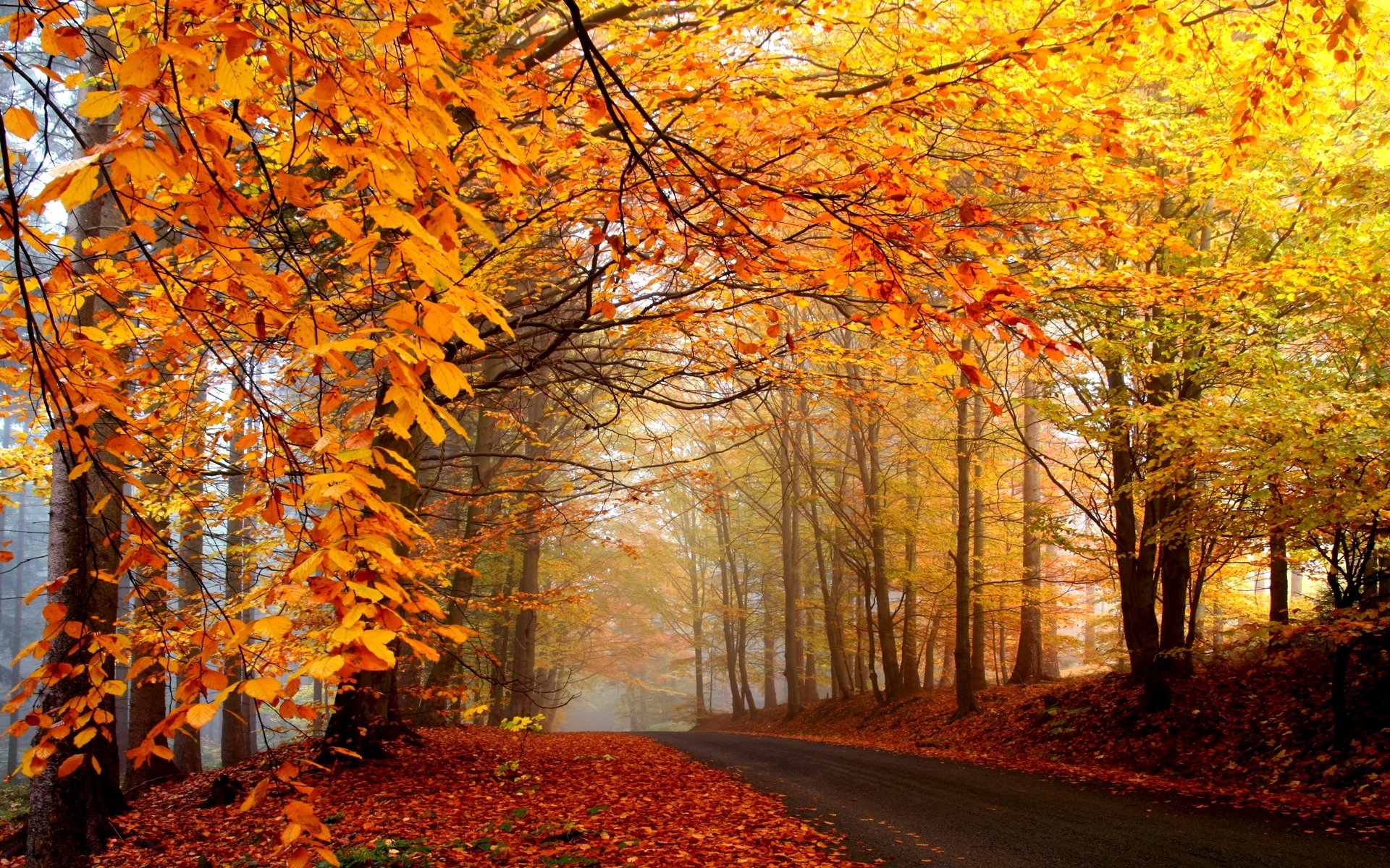 Fondos De Pantalla Pc Otoño - HD Wallpaper 