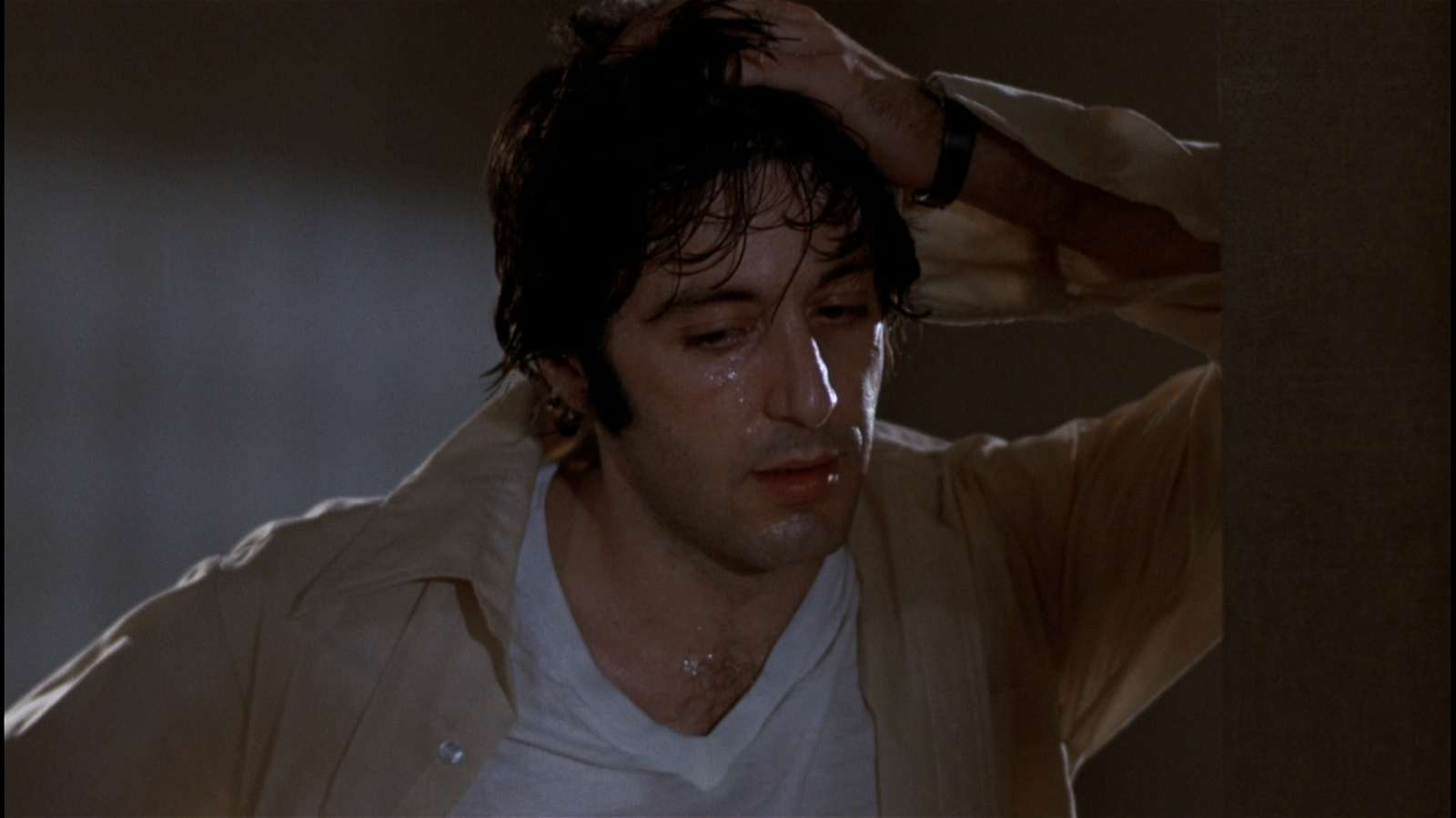 Dog День Afternoon - Dog Day Afternoon Sweat - HD Wallpaper 