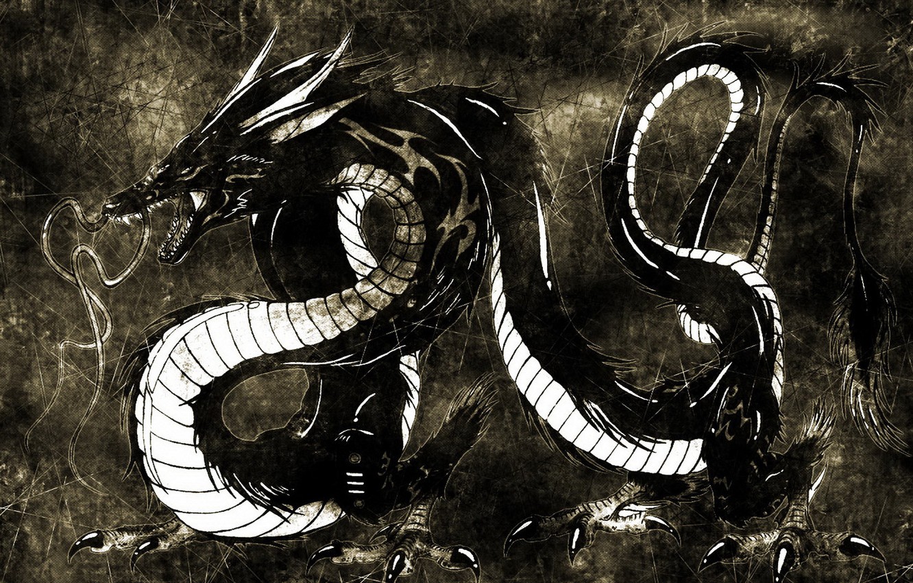Photo Wallpaper Black Background, 2012, Dragon, The - Fantasy Black And White Dragon - HD Wallpaper 