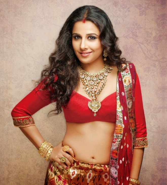 Vidya Balan Hot Hi Blitz Magazine Photos - Vidya Balan Hot Navel - HD Wallpaper 